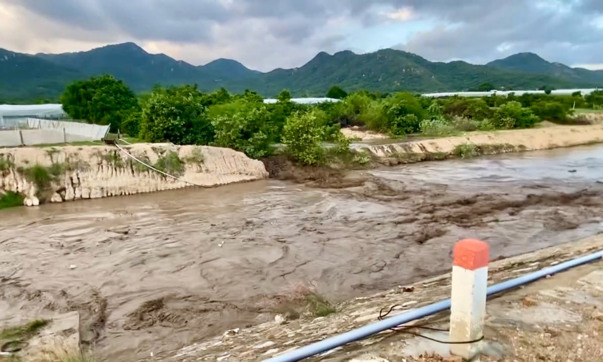 - Ảnh 3. - Ảnh 3.