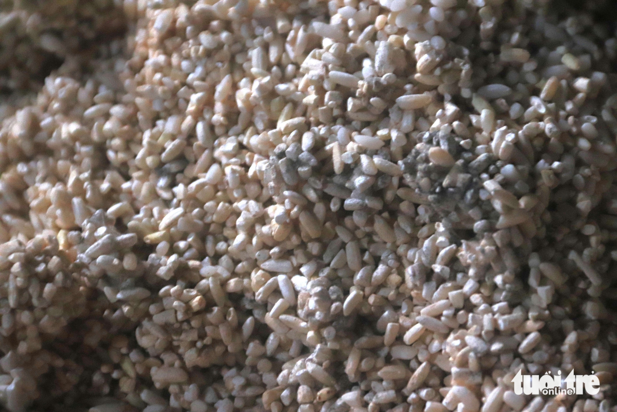 Nhiều hộ kinh doanh lúa gạo ở Đà Nẵng khóc ròng 7 Lúa - Ảnh 7.