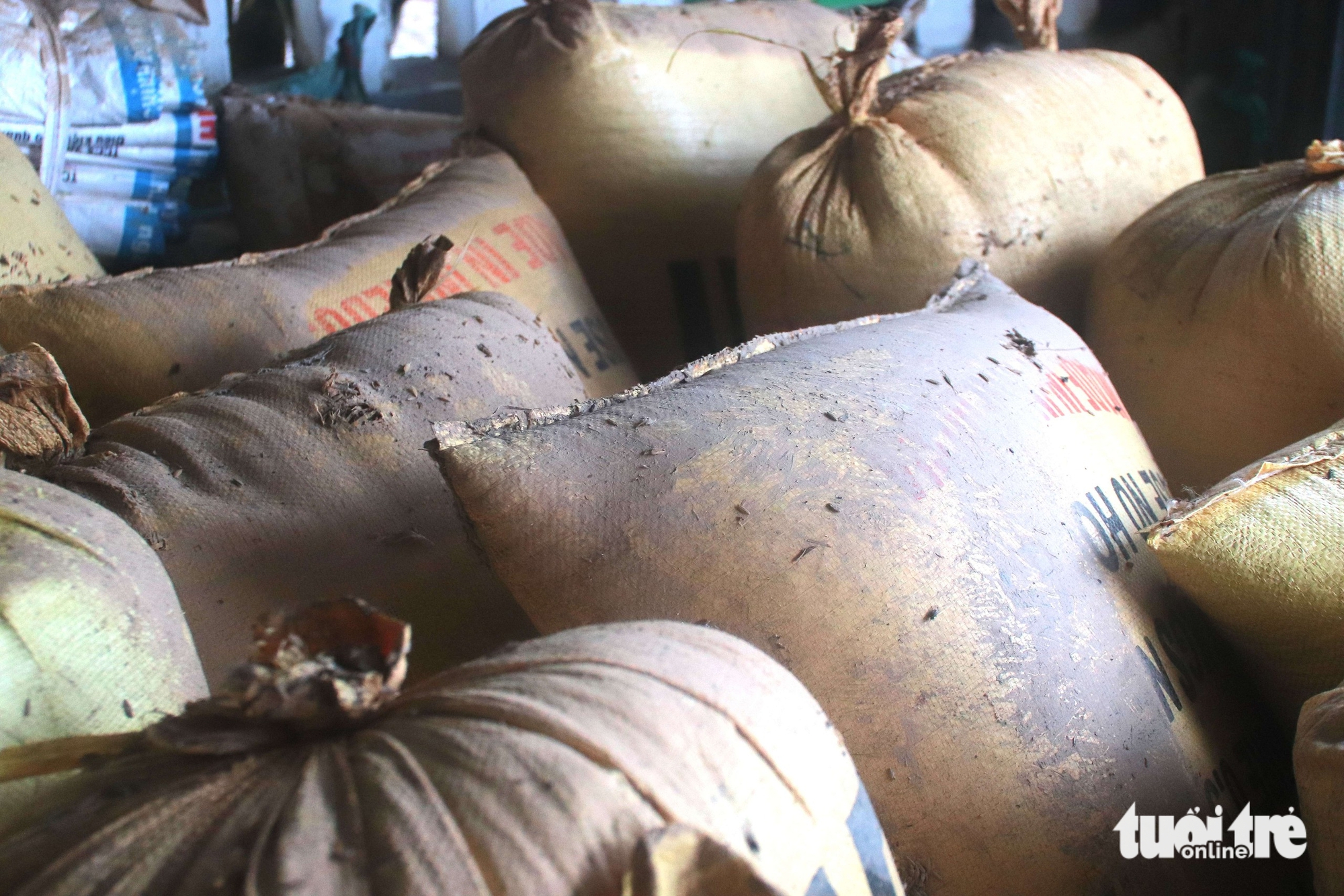 Nhiều hộ kinh doanh lúa gạo ở Đà Nẵng khóc ròng 9 Lúa - Ảnh 9.