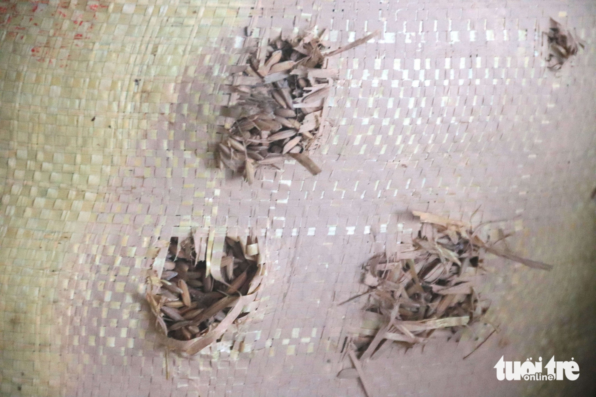 Nhiều hộ kinh doanh lúa gạo ở Đà Nẵng khóc ròng 10 Lúa - Ảnh 10.