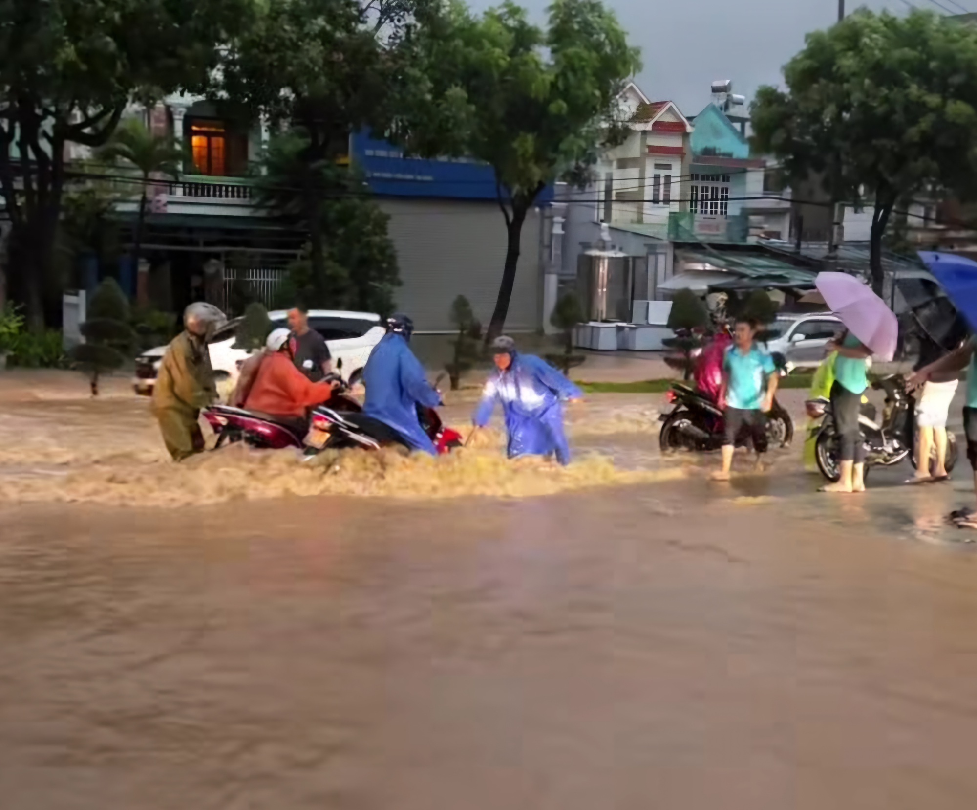 Đà Nẵng: Mưa lớn từ rạng sáng, nhiều khu vực trung tâm ngập sâu- Ảnh 3.