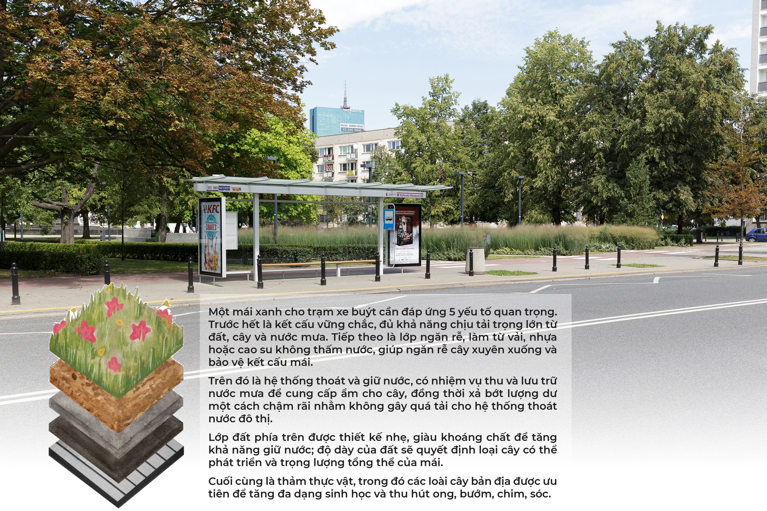 Để người chờ xe buýt được chở che - Ảnh 6. Để người chờ xe buýt được chở che - Ảnh 6.