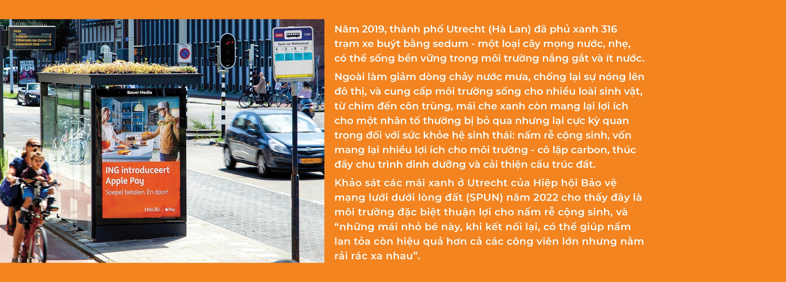 Để người chờ xe buýt được chở che - Ảnh 10. Để người chờ xe buýt được chở che - Ảnh 10.
