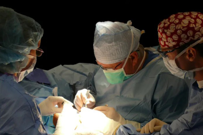 Bác sĩ Andrews trong một ca phẫu thuật. Ảnh: The Andrews Institute