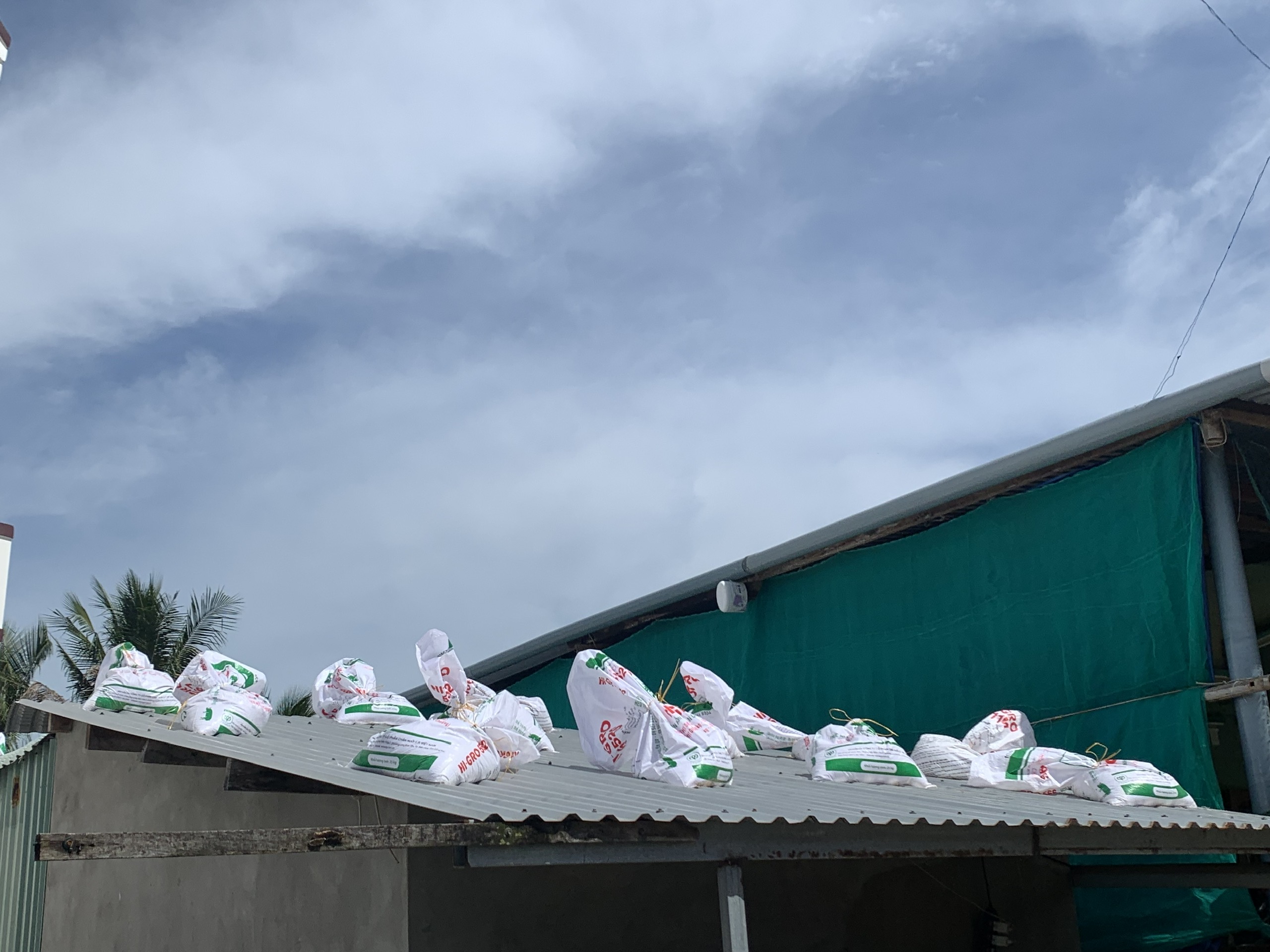 Ứng phó bão số 13: Người dân Đắk Lắk gia cố nhà cửa, di dời tôm hùm - Ảnh 5.