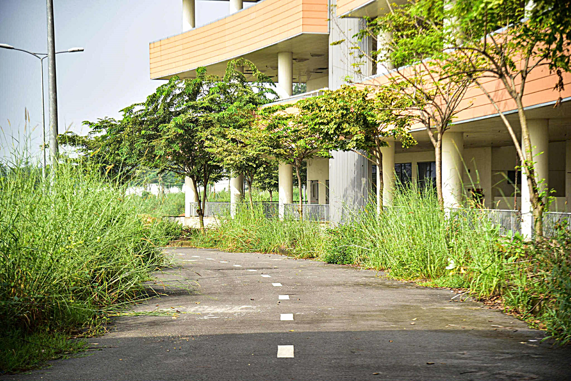 Bệnh viện lớn nhất TP.HCM khi nào hoạt động? - Ảnh 2.