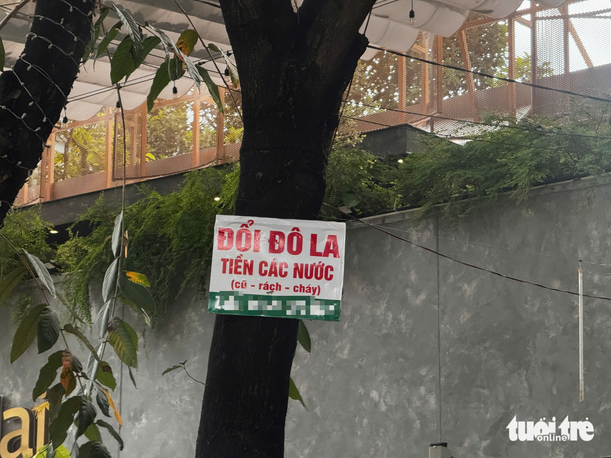 ngoại tệ - Ảnh 2.