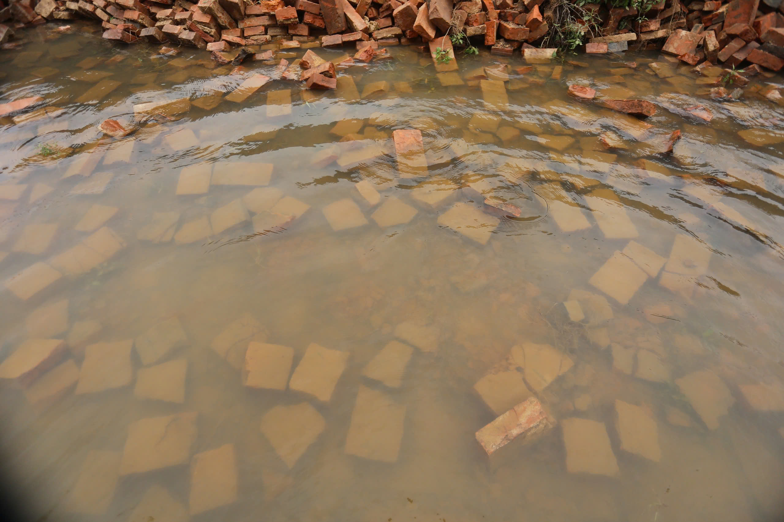 Lũ lụt làm sập tường Hoàng thành Huế - Ảnh 7.