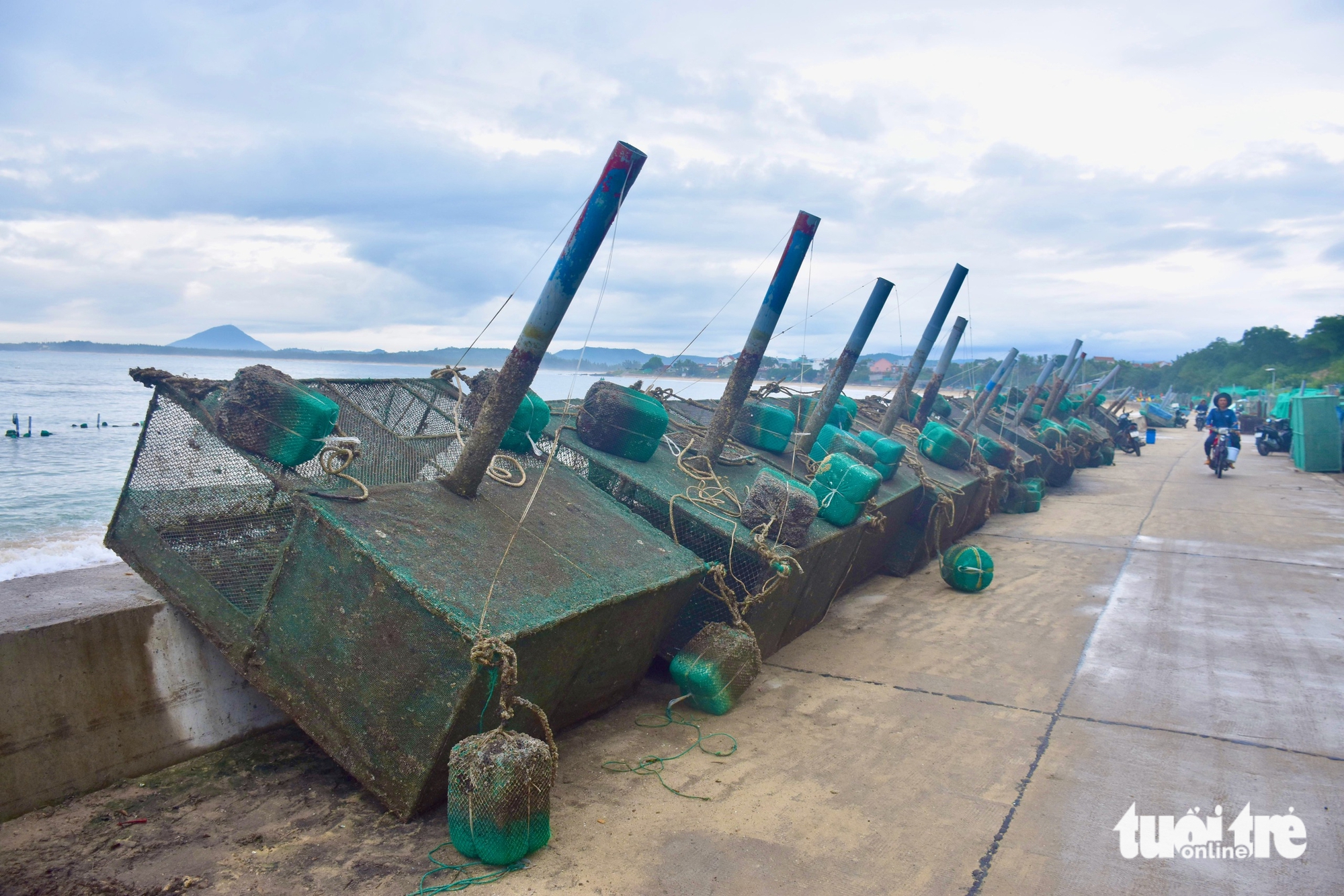 Tất bật đưa tôm hùm 'chạy' bão Kalmaegi- Ảnh 7.