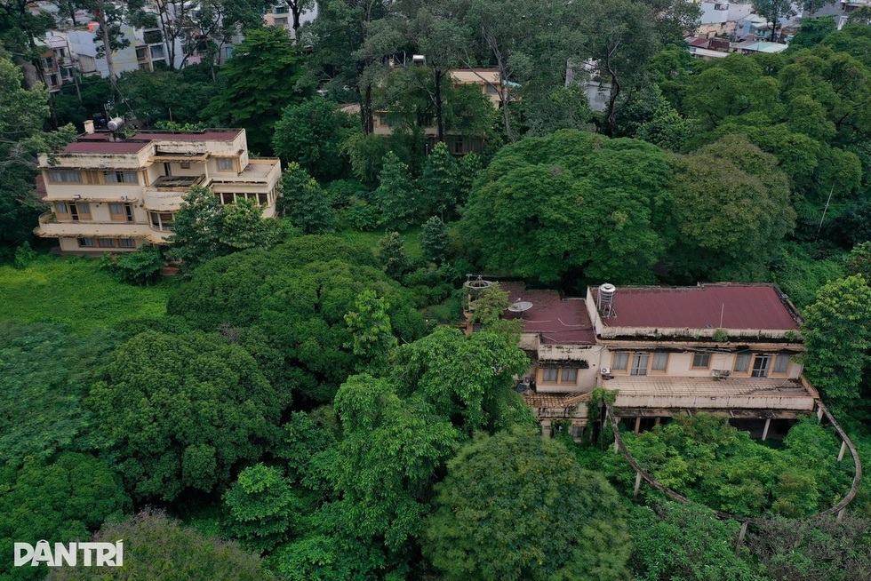 Công trình Vượt qua Covid-19 ở TPHCM là dịp tạo một biểu tượng tầm quốc gia - 3