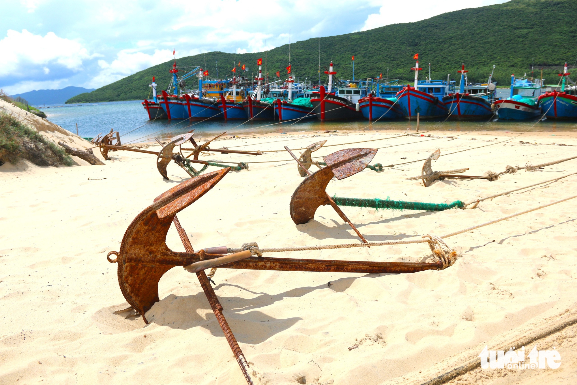 bão Kalmaegi - Ảnh 6.