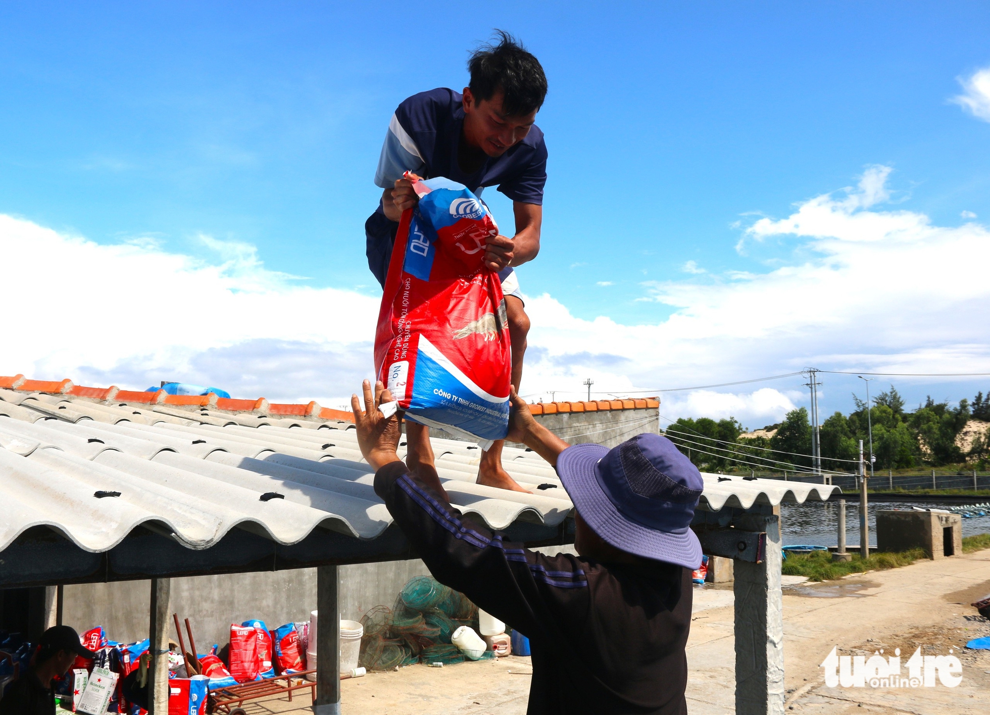 bão Kalmaegi - Ảnh 7.
