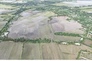 Một tập đoàn muốn đầu tư nhà máy điện mặt trời 1.000 tỉ ở Cần Thơ