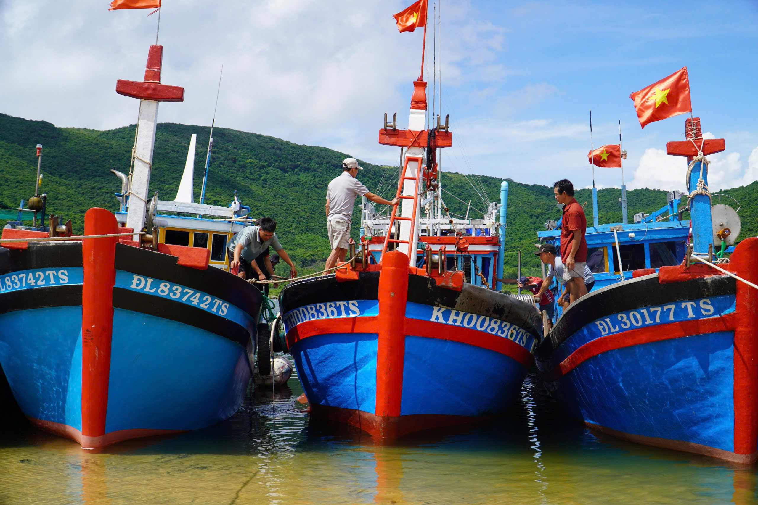  Khánh Hòa, Gia Lai chủ động ứng phó bão Kalmaegi - Ảnh 2.