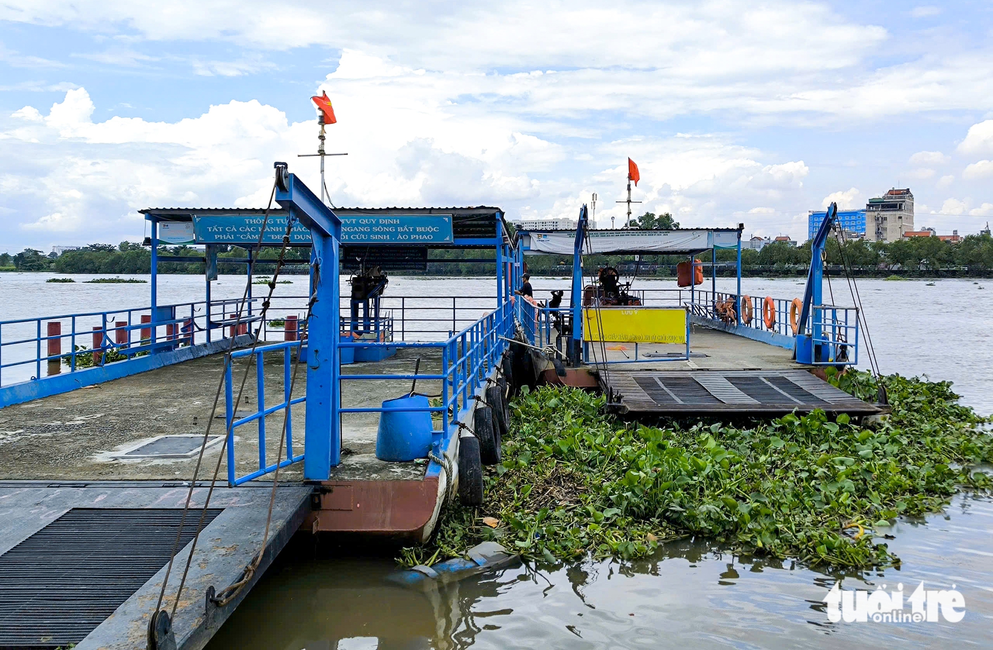 phà Bình Quới - Ảnh 2.