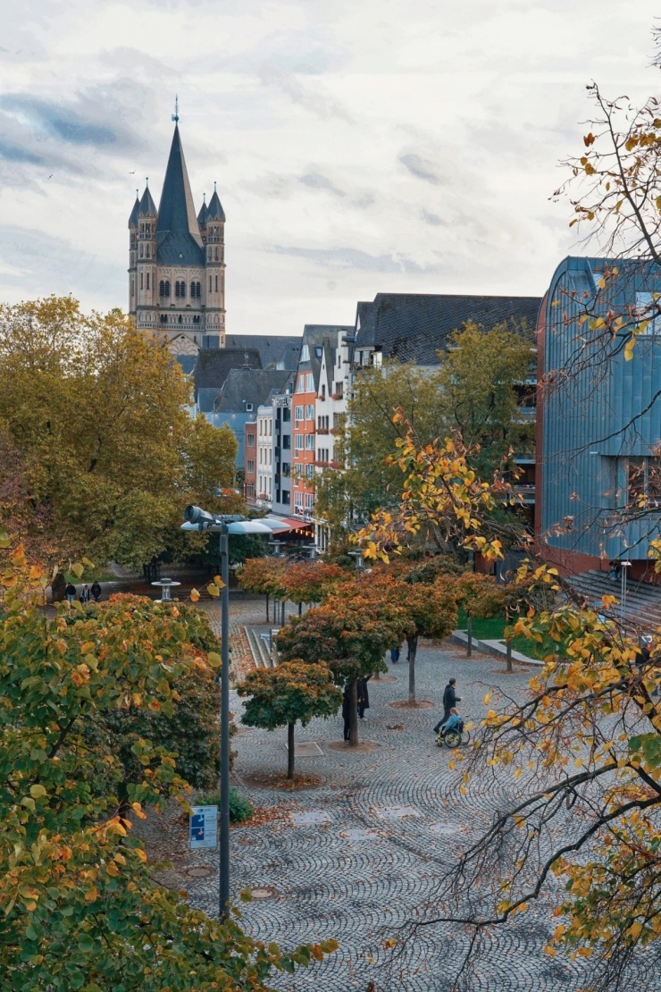 Ngắm thu ngập sắc vàng ở Rừng Đen nổi tiếng tây nam Đức - 10