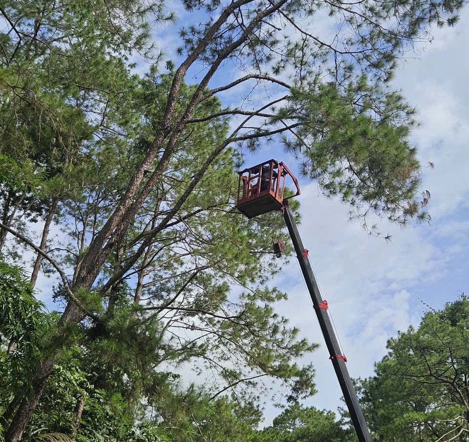 Lãnh đạo tỉnh Khánh Hòa đồng loạt kiểm tra công tác ứng phó bão số 13 Kalmaegi - Ảnh 3.