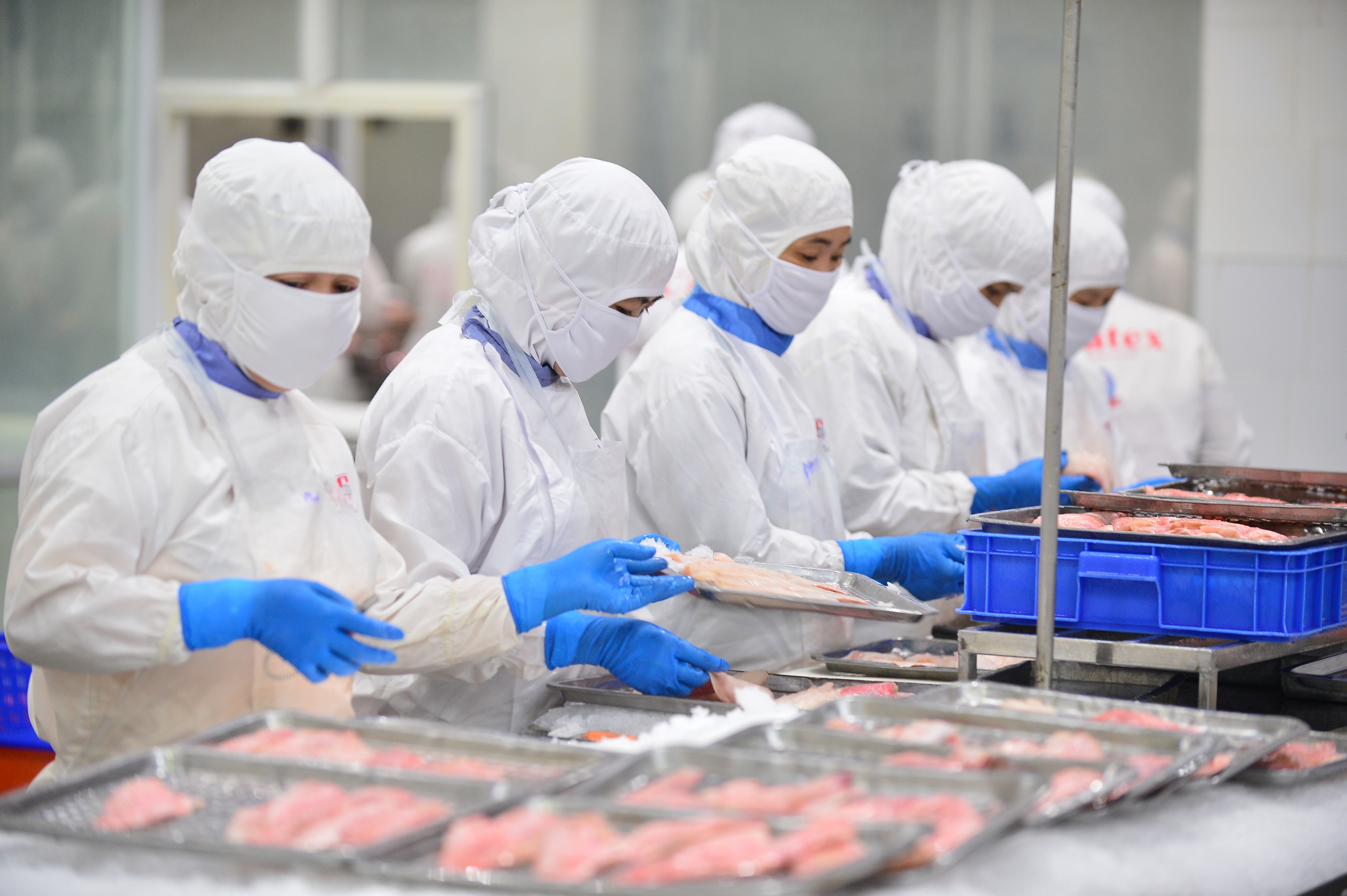 nông sản - Ảnh 2.