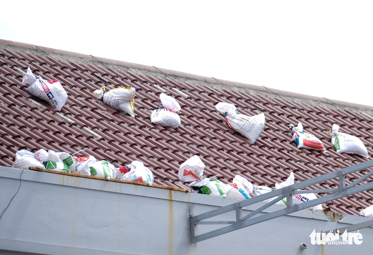 bão Kalmaegi - Ảnh 5.