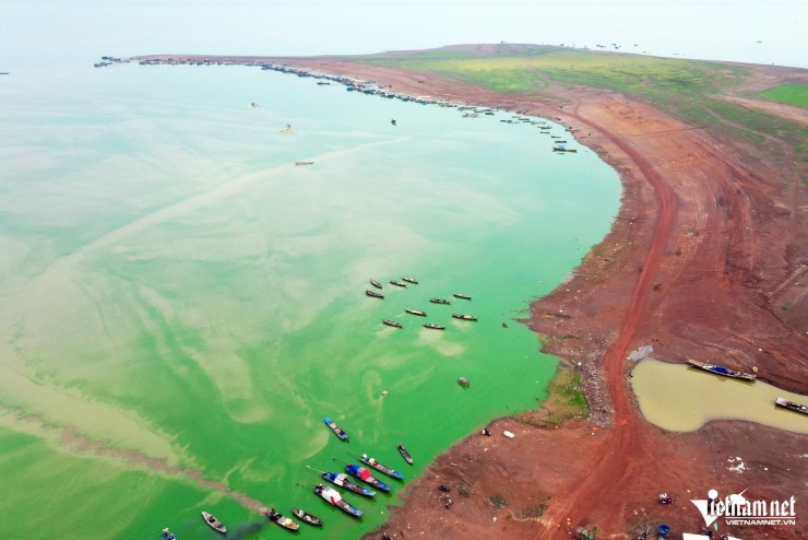 Một góc Bến Nôm nhuộm màu xanh của tảo