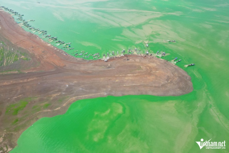 Dải lụa xanh hiện lên ở hồ Trị An khiến du khách say lòng, nhiếp ảnh gia mê mẩn - 3