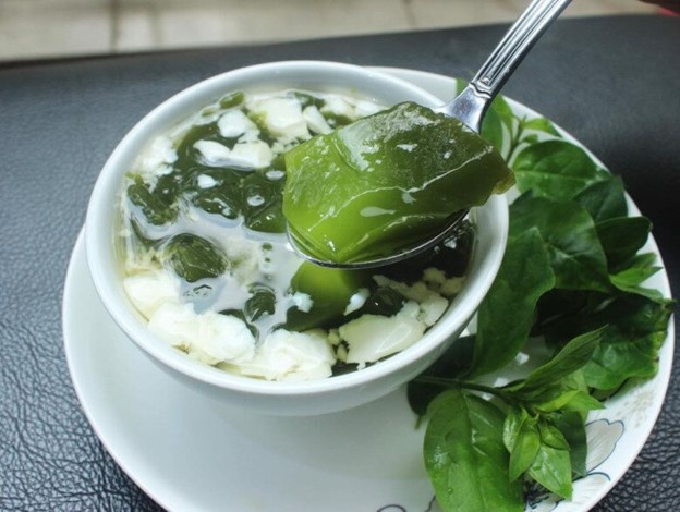 Cây dại ở bờ rào hóa 