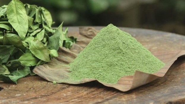 Cây dại ở bờ rào hóa 