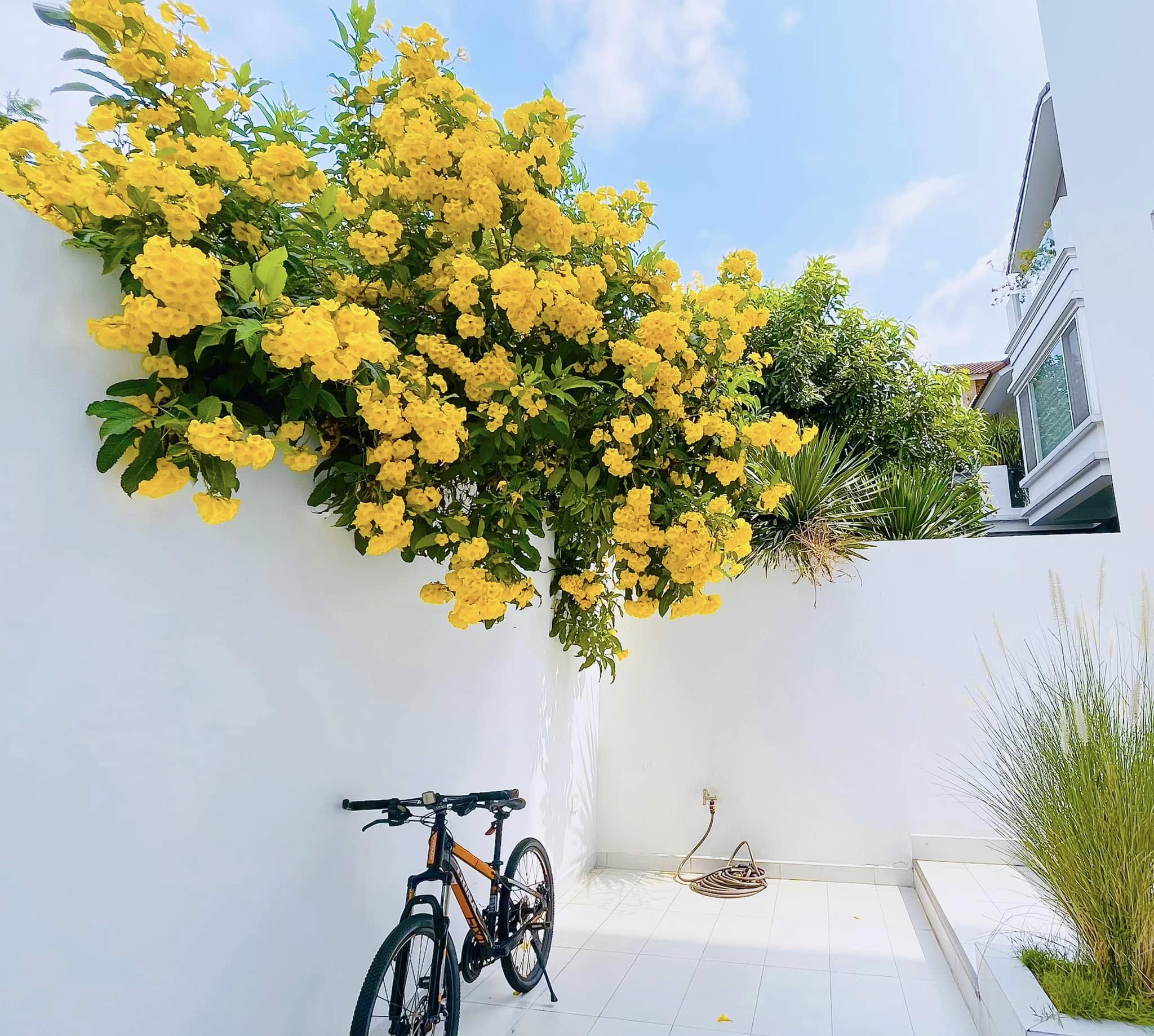 Bạch dinh 22 tỷ rộng 1000m² của Công Vinh - Thuỷ Tiên- Ảnh 2.