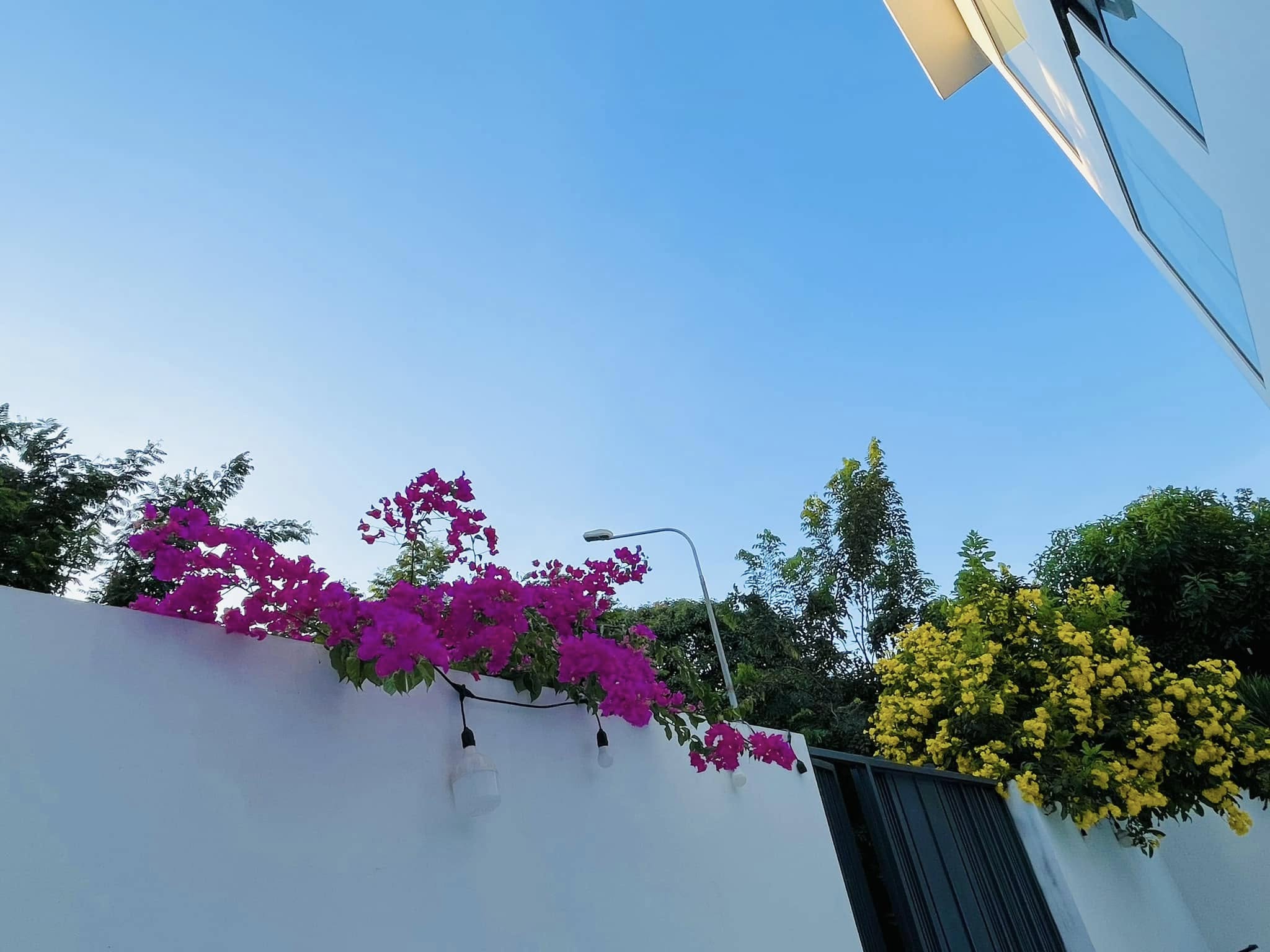 Bạch dinh 22 tỷ rộng 1000m² của Công Vinh - Thuỷ Tiên- Ảnh 3.