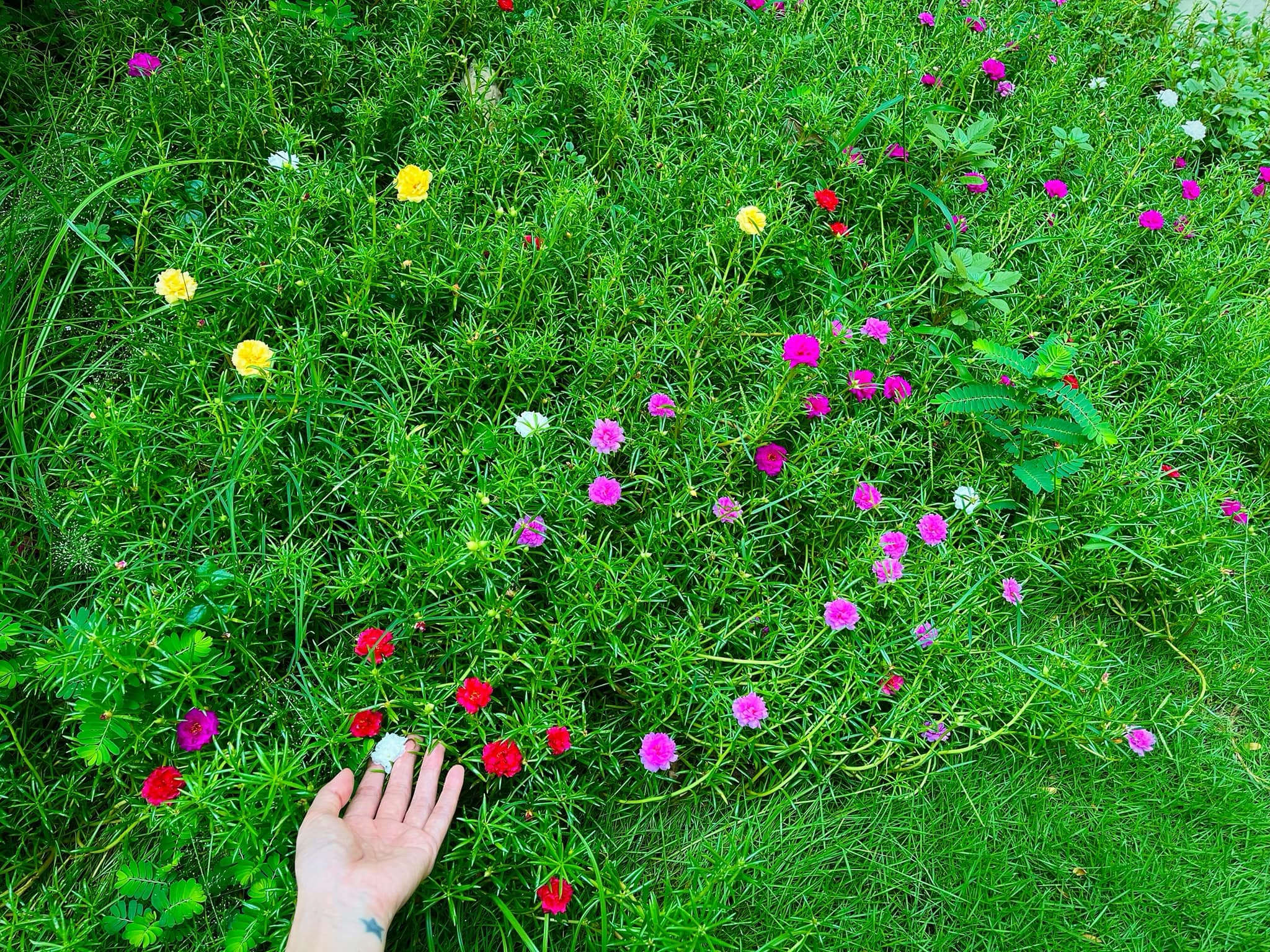 Bạch dinh 22 tỷ rộng 1000m² của Công Vinh - Thuỷ Tiên- Ảnh 5.