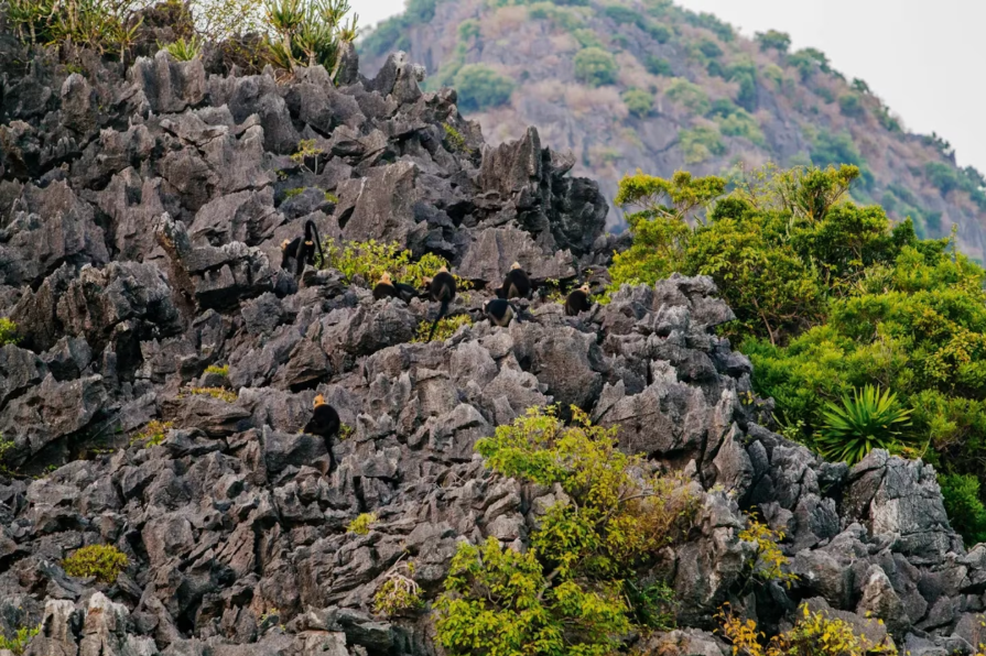 Đại diện duy nhất của Việt Nam bất ngờ được tạp chí Mỹ xếp hạng top 8 hòn đảo đẹp nhất khu vực- Ảnh 3.