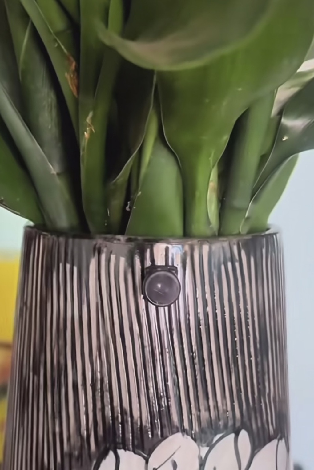 Camera ngụy trang được rao bán công khai: Làm gì để tránh bị quay lén? - 2