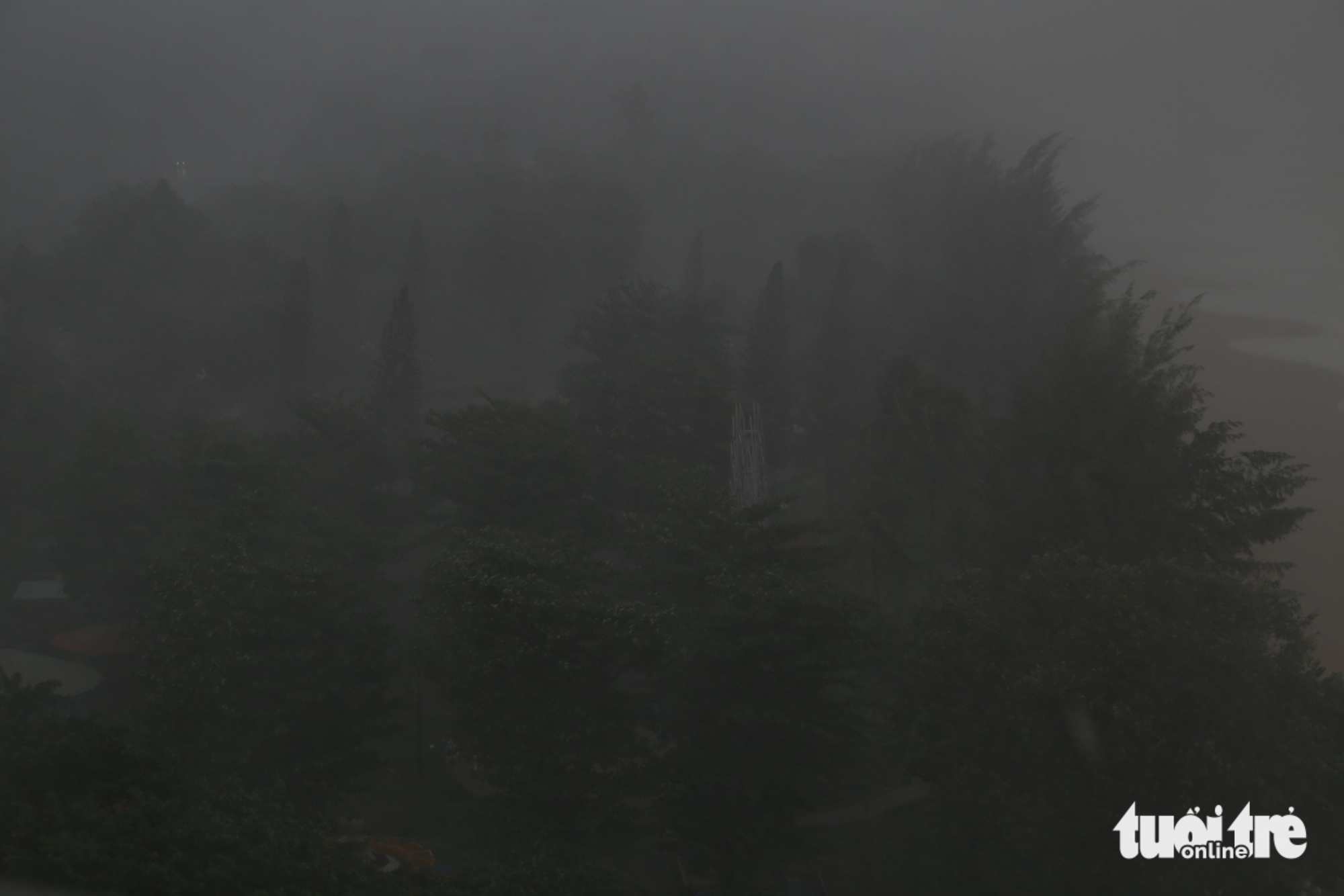 bão kalmaegi - Ảnh 3.