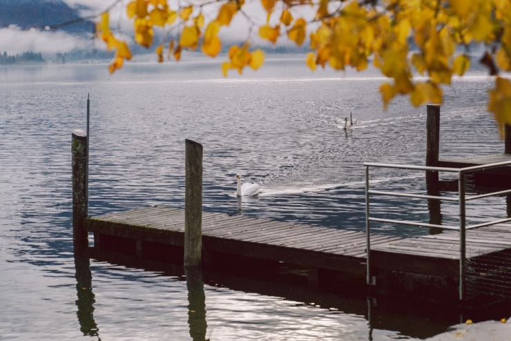 Mùa thu ở thị trấn Hallstatt đẹp nhất thế giới trong mắt khách Việt - 5