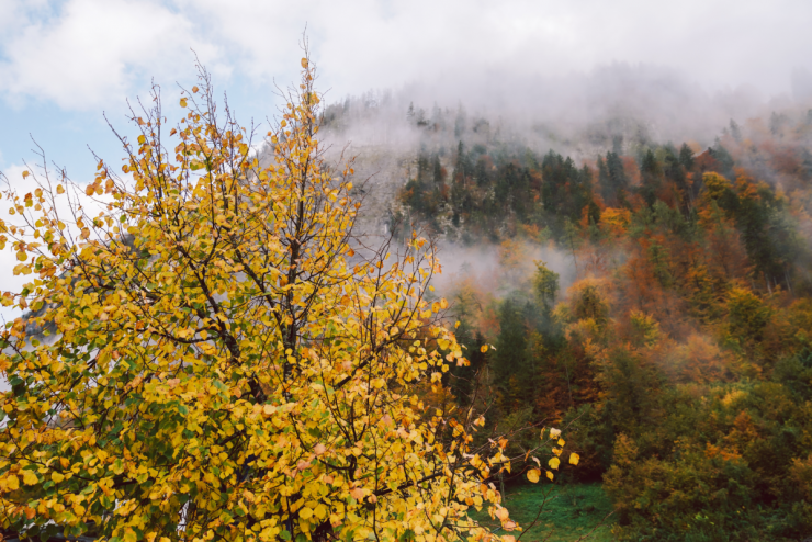 Mùa thu ở thị trấn Hallstatt đẹp nhất thế giới trong mắt khách Việt - 10