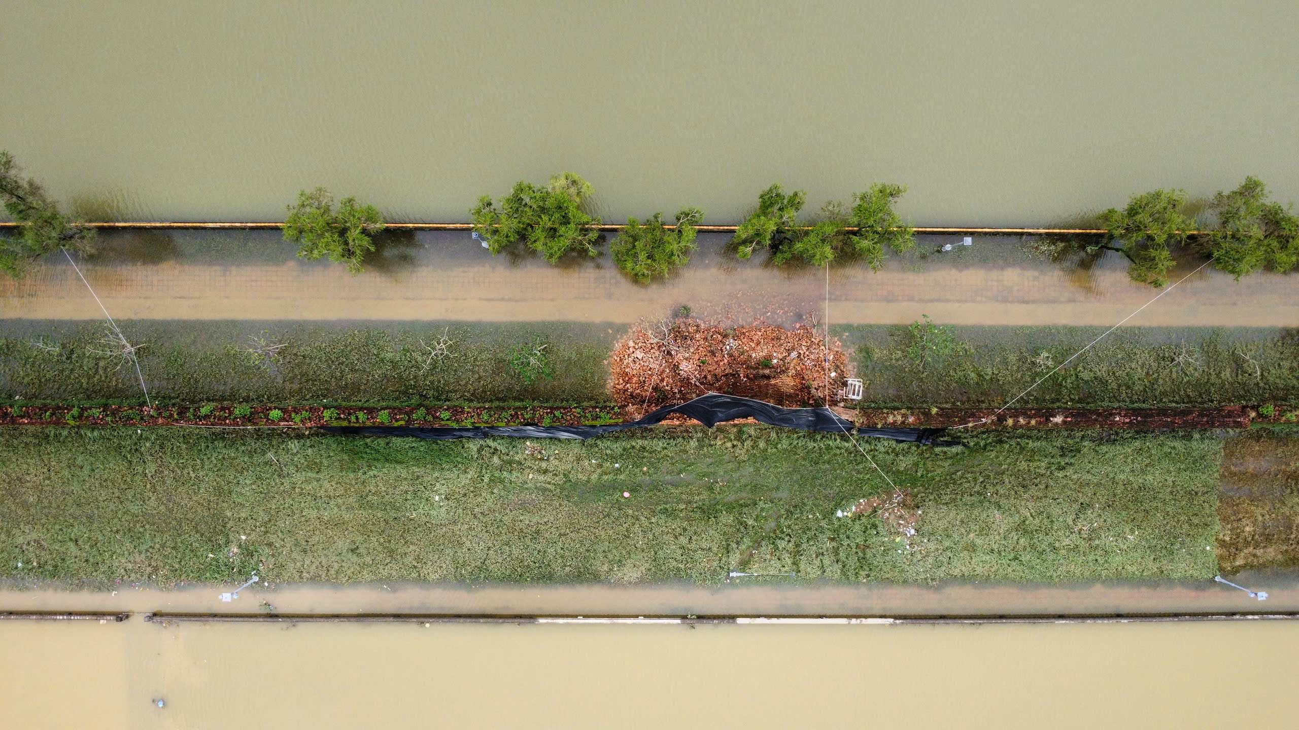 Sập tường trong Hoàng thành Huế: Bộ VH-TT-DL yêu cầu rà soát, ưu tiên khắc phục- Ảnh 2.