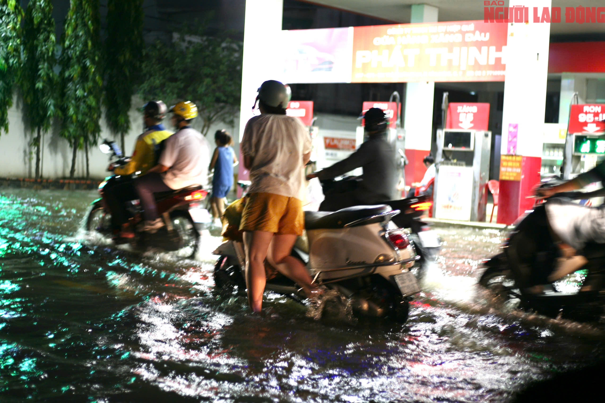 - Ảnh 10. - Ảnh 10.