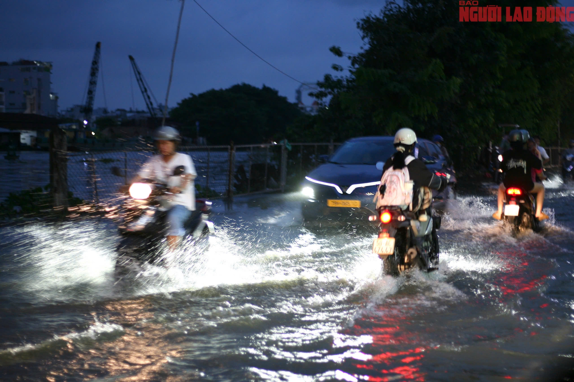 - Ảnh 13. - Ảnh 13.