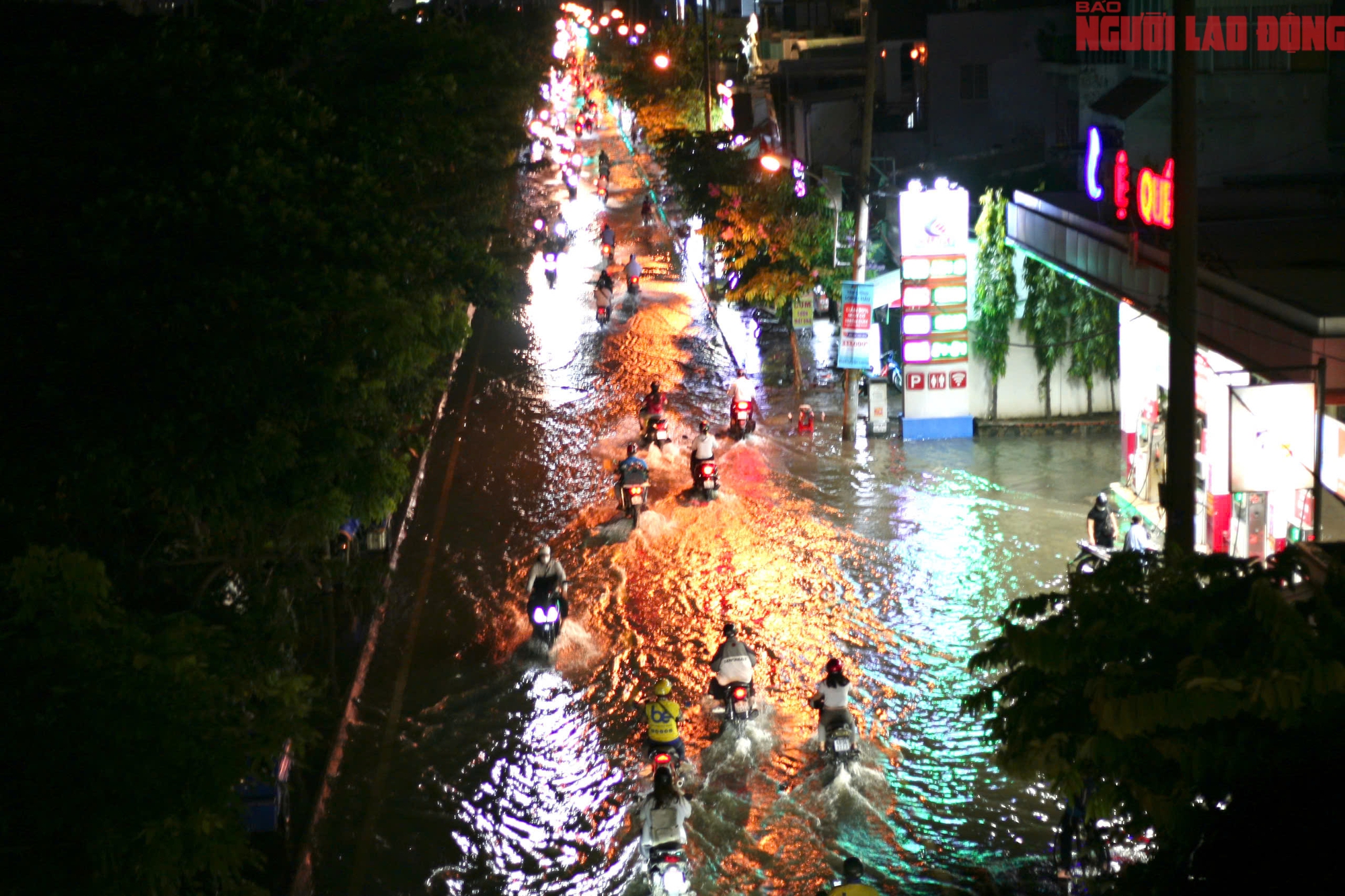 - Ảnh 14. - Ảnh 14.