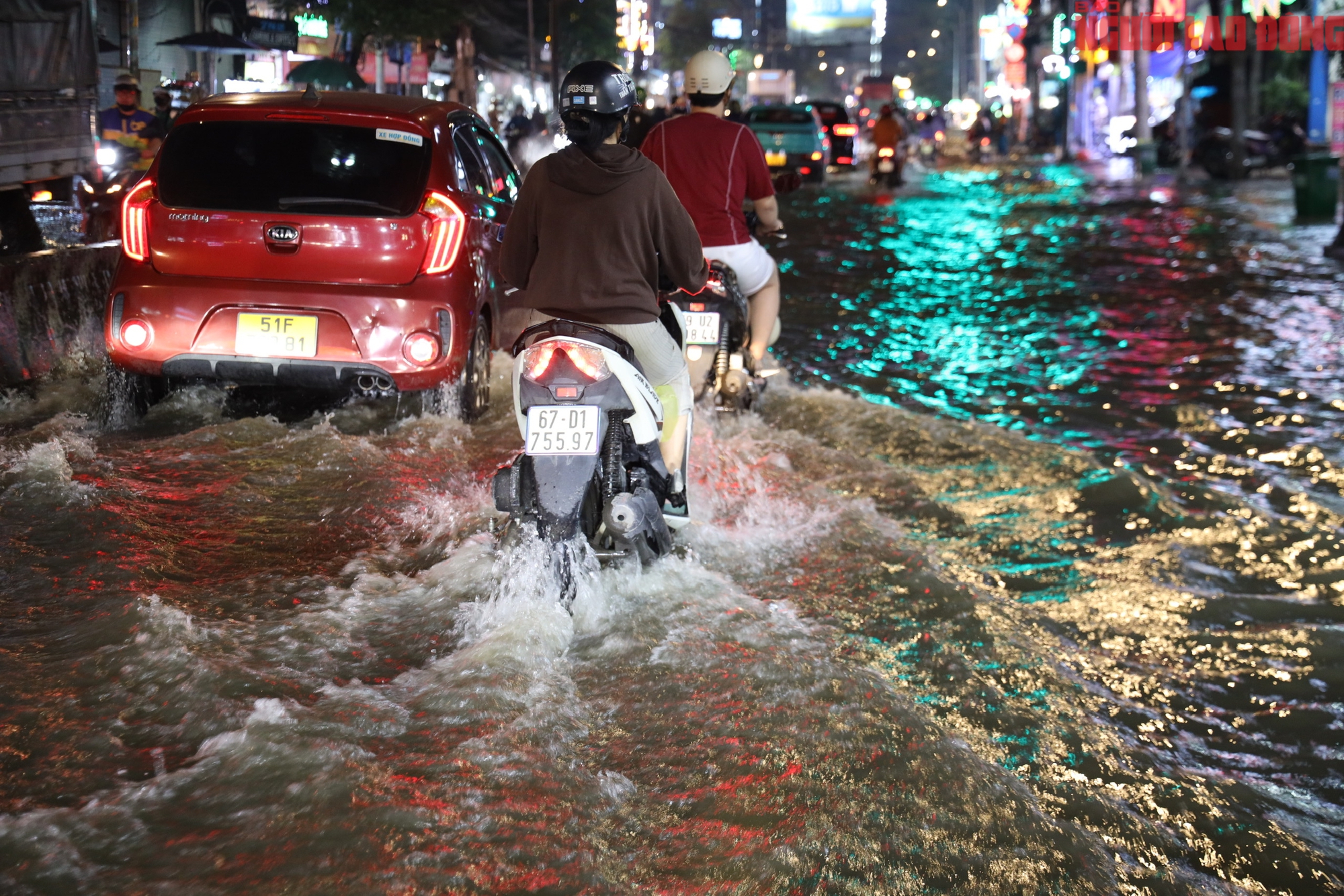 - Ảnh 16. - Ảnh 16.