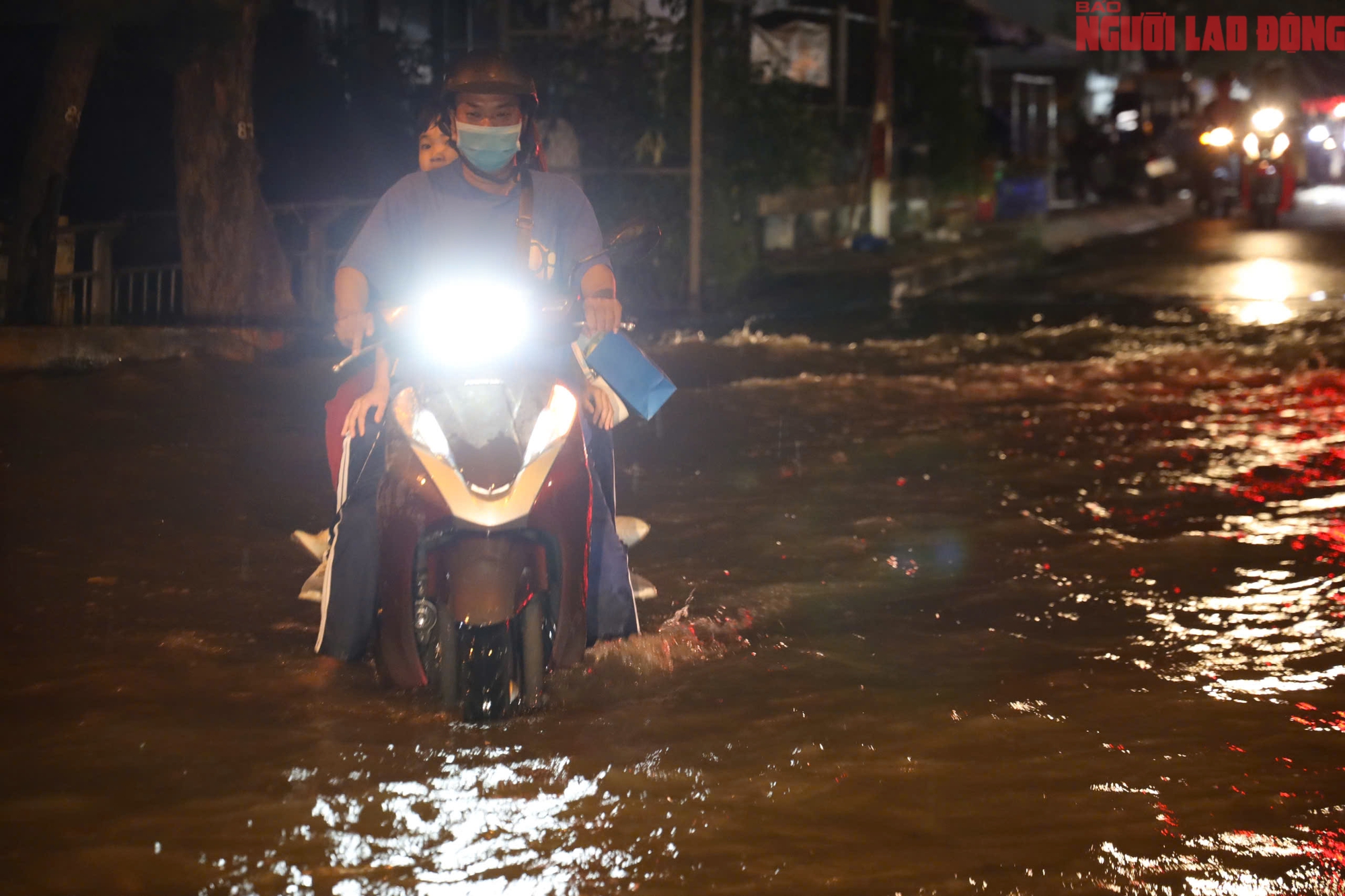 - Ảnh 21. - Ảnh 21.