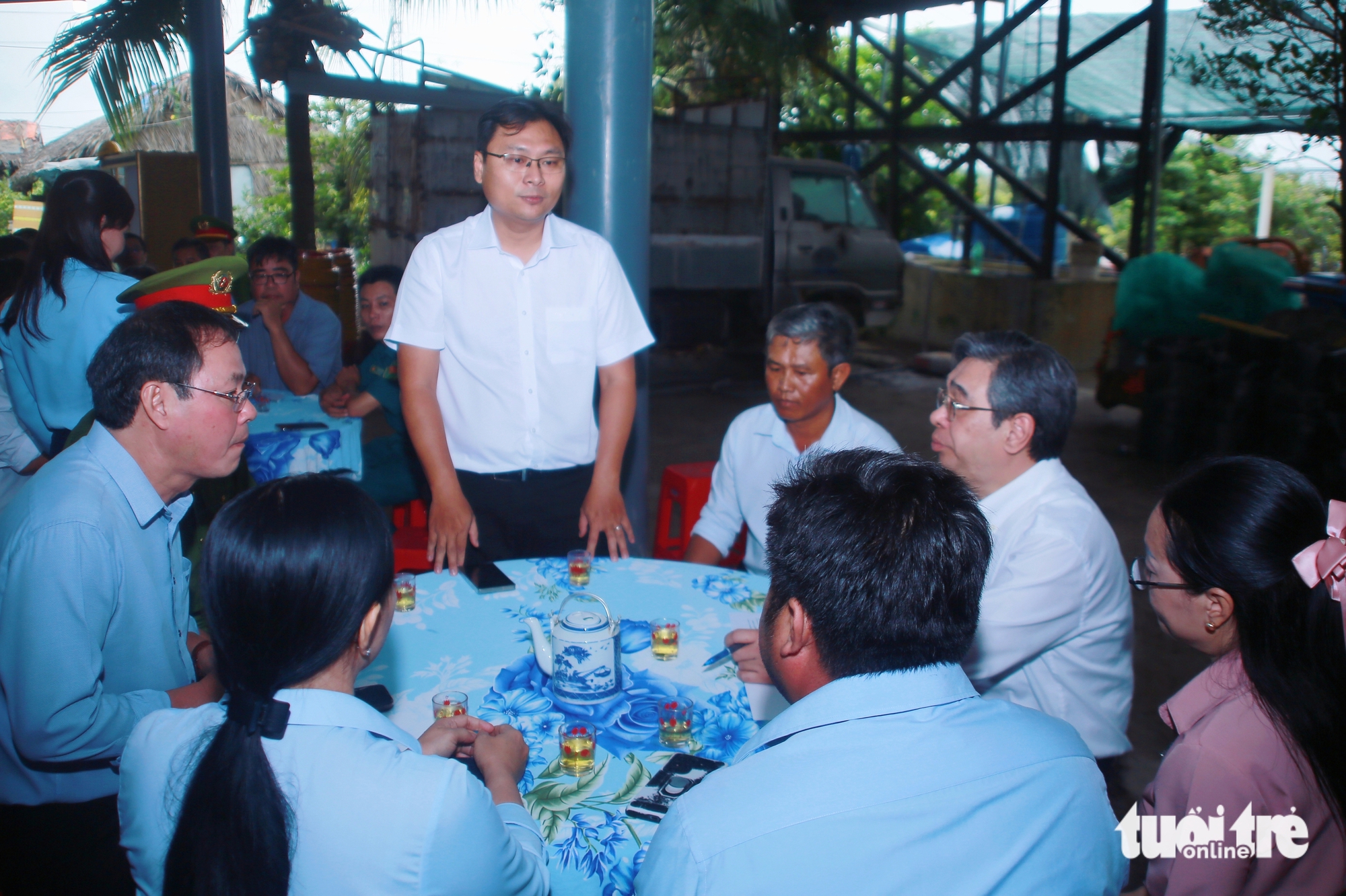 mai vàng - Ảnh 3.