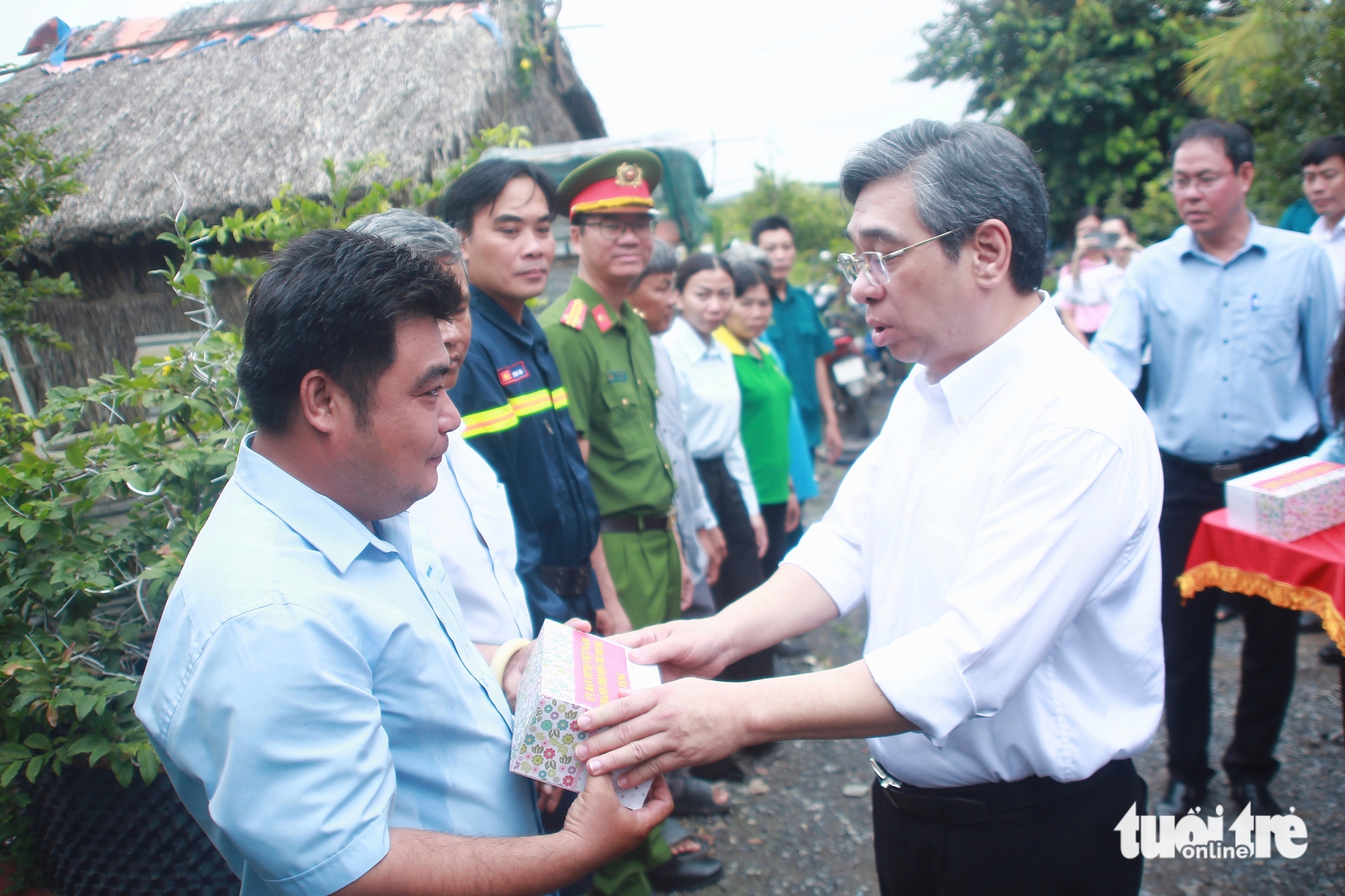 mai vàng - Ảnh 6.