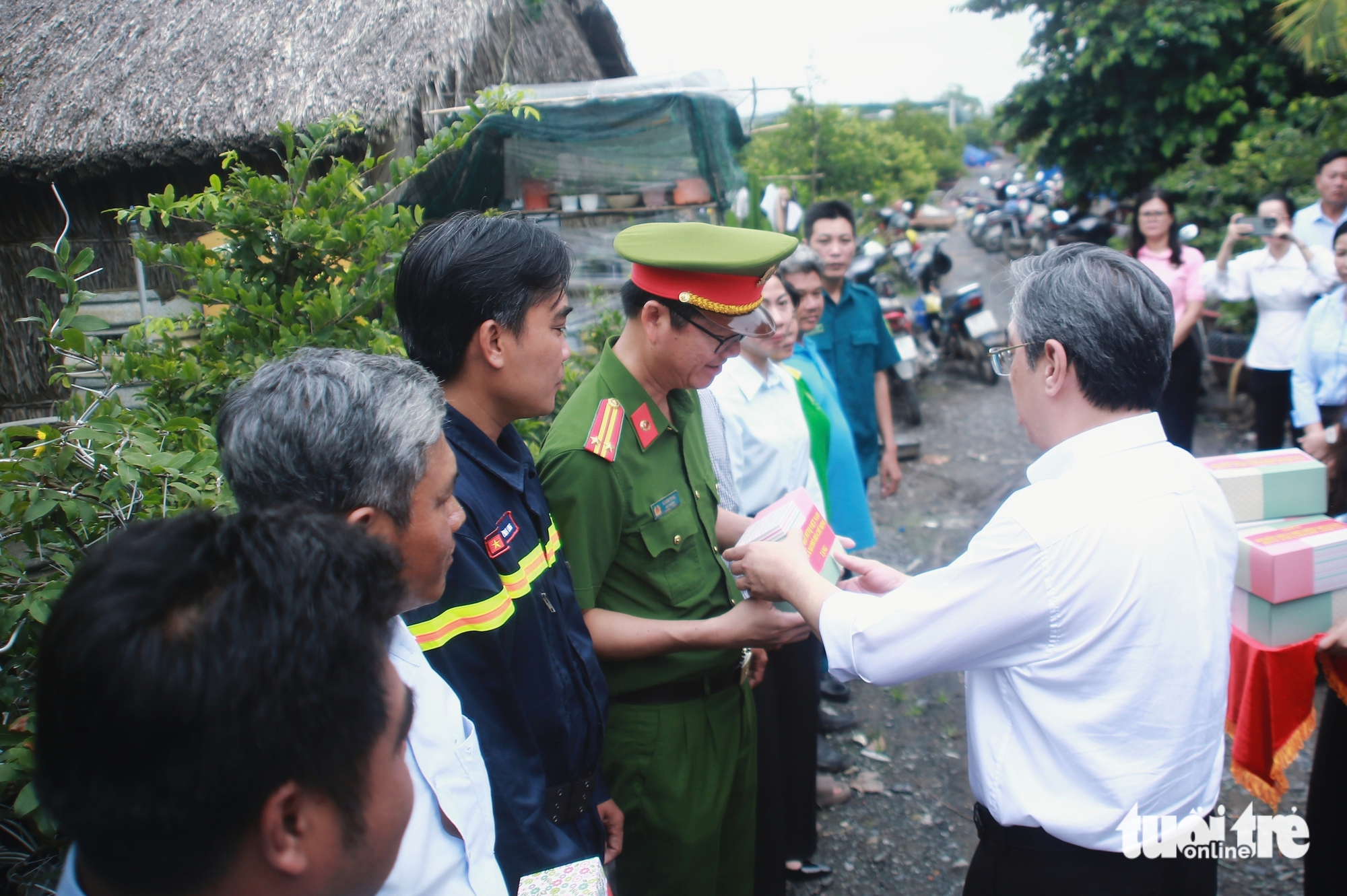 mai vàng - Ảnh 7.