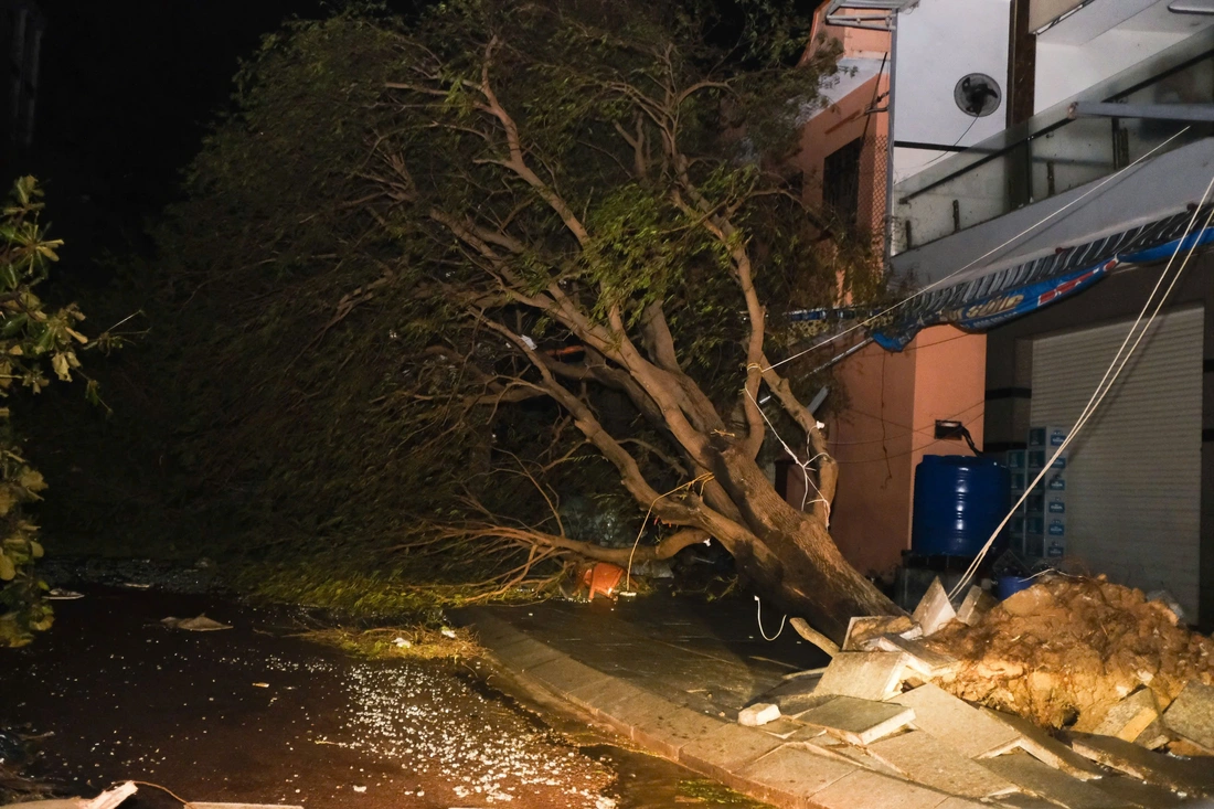 Bão Kalmaegi - Ảnh 10.