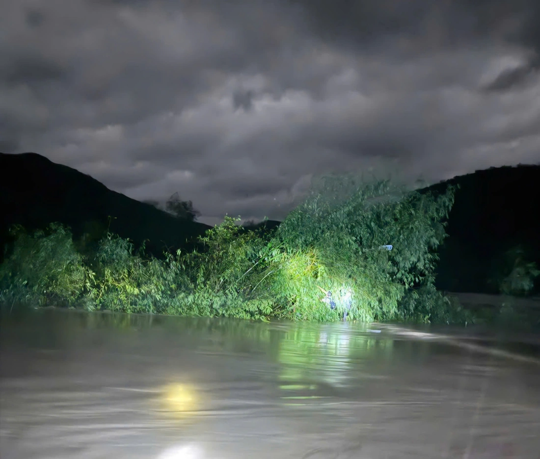 Bão Kalmaegi - Ảnh 15.