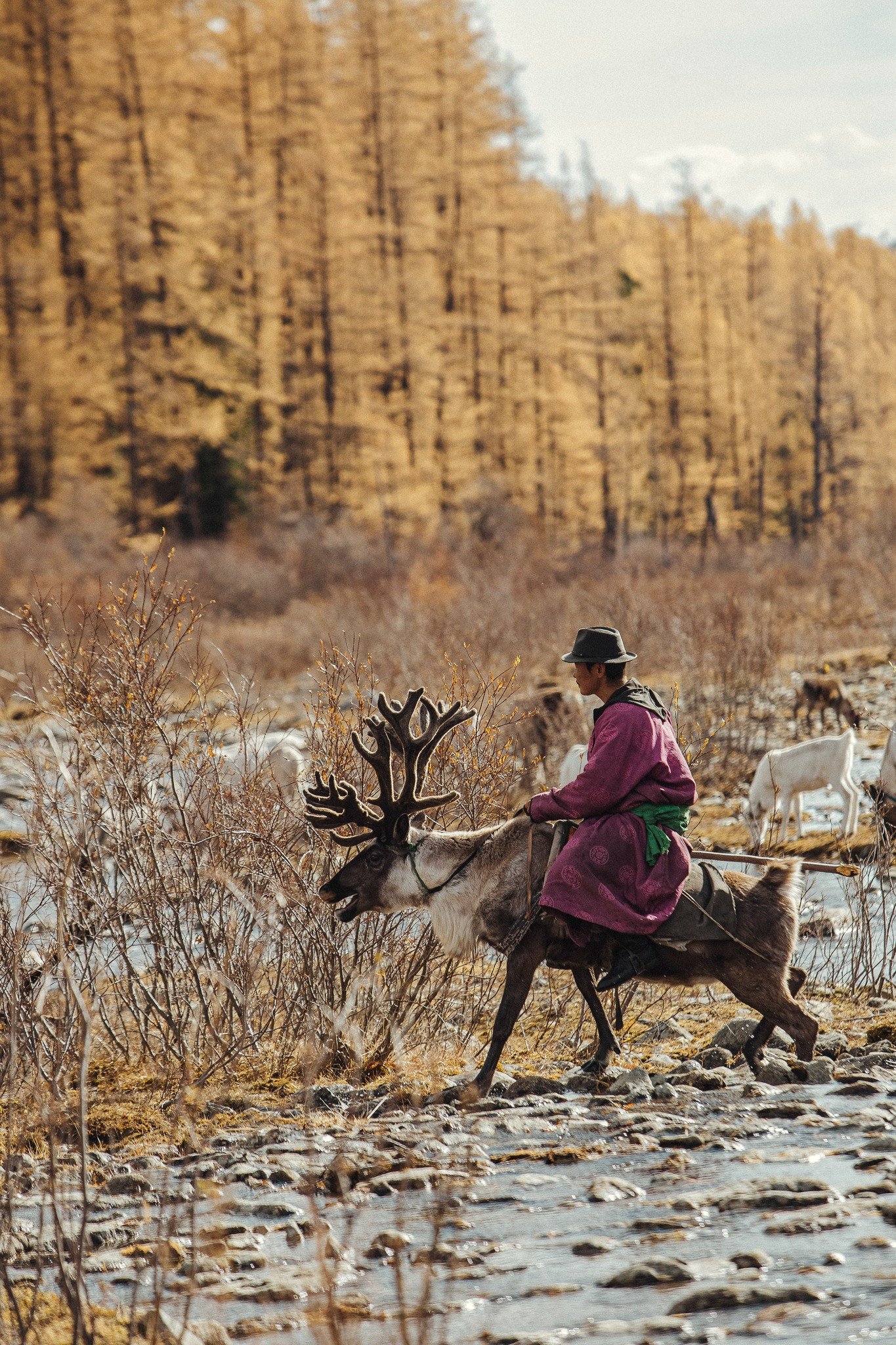 Khách Việt đi ngắm thu ở Mông Cổ: Ngày say xe dữ dội, đêm canh củi đốt lò - 8