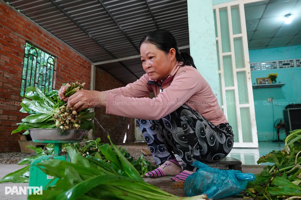 Mẹ bó rau thuê, cha phụ hồ nuôi con trai bị thận hư từ lúc 1 tuổi - 3