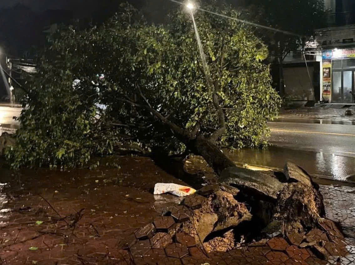 Bão Kalmaegi đổ bộ đất liền - Ảnh 6.