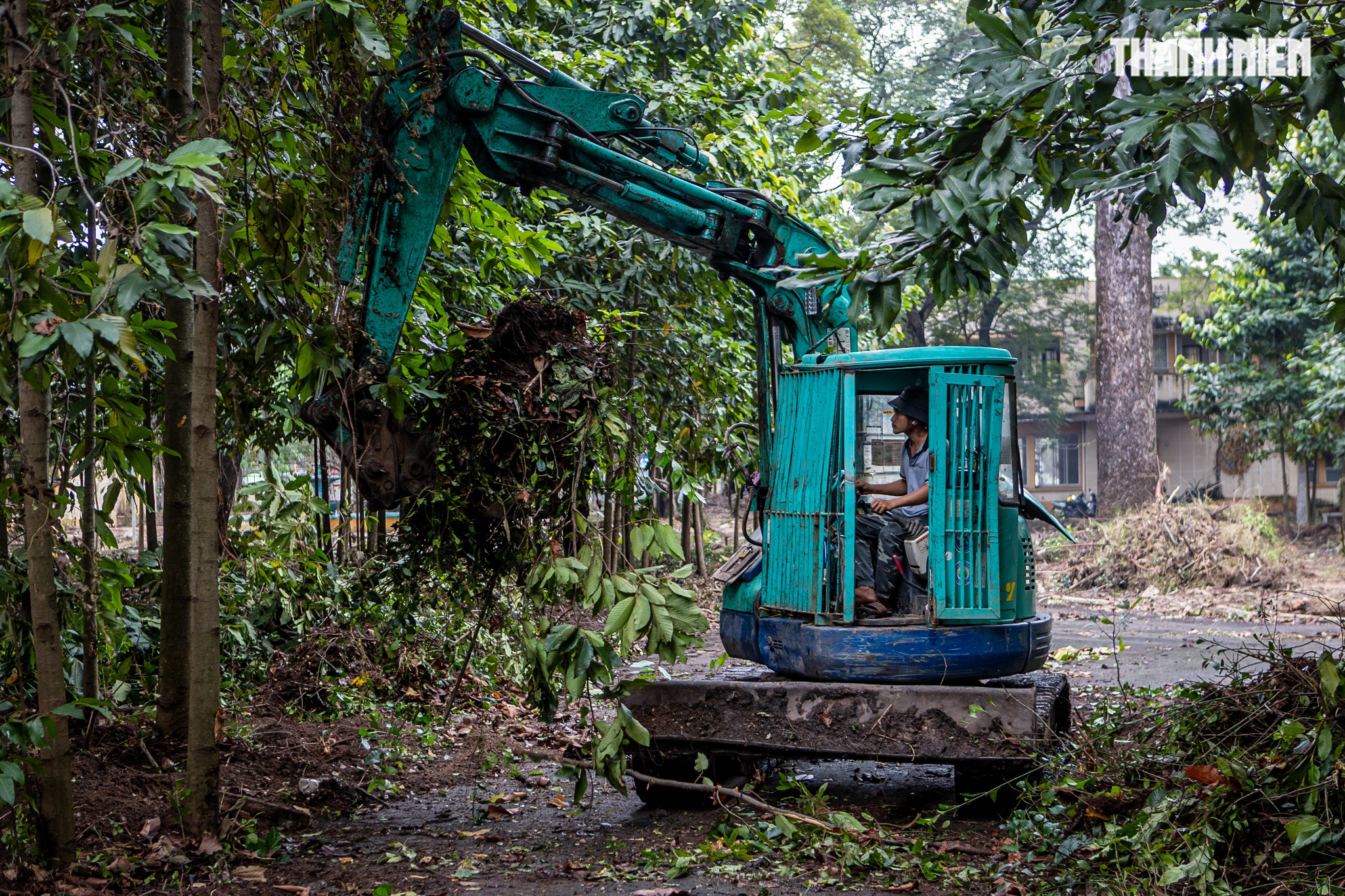 TP.HCM tất bật dọn 'đất vàng' để xây công viên và đài tưởng niệm nạn nhân Covid-19- Ảnh 2.